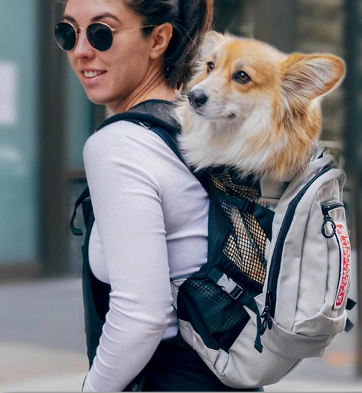 K9 SPORT SACK | Air Plus Backpack in Black Carry K9 SPORT SACK   