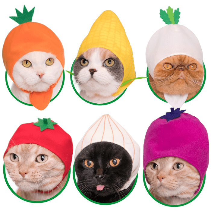 Bear Cap for Cats (Surprise Box) CAT KITAN CLUB   