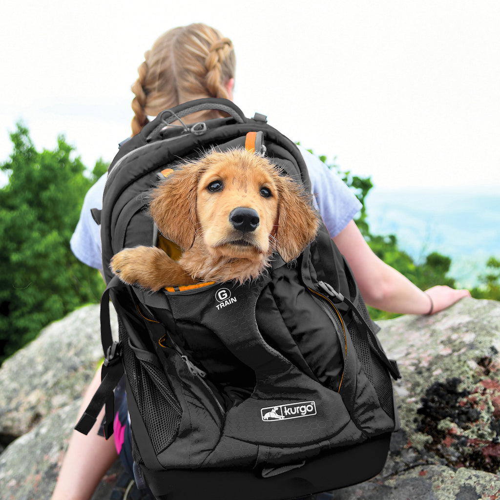 KURGO G-Train Backpack in Black DOG - Main Image