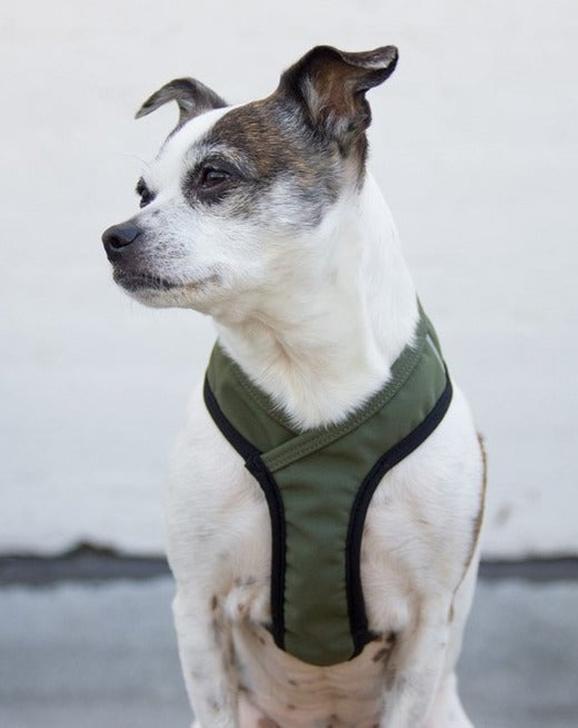 Laguna Dog Harness in Olive WALK WILDEBEEST   