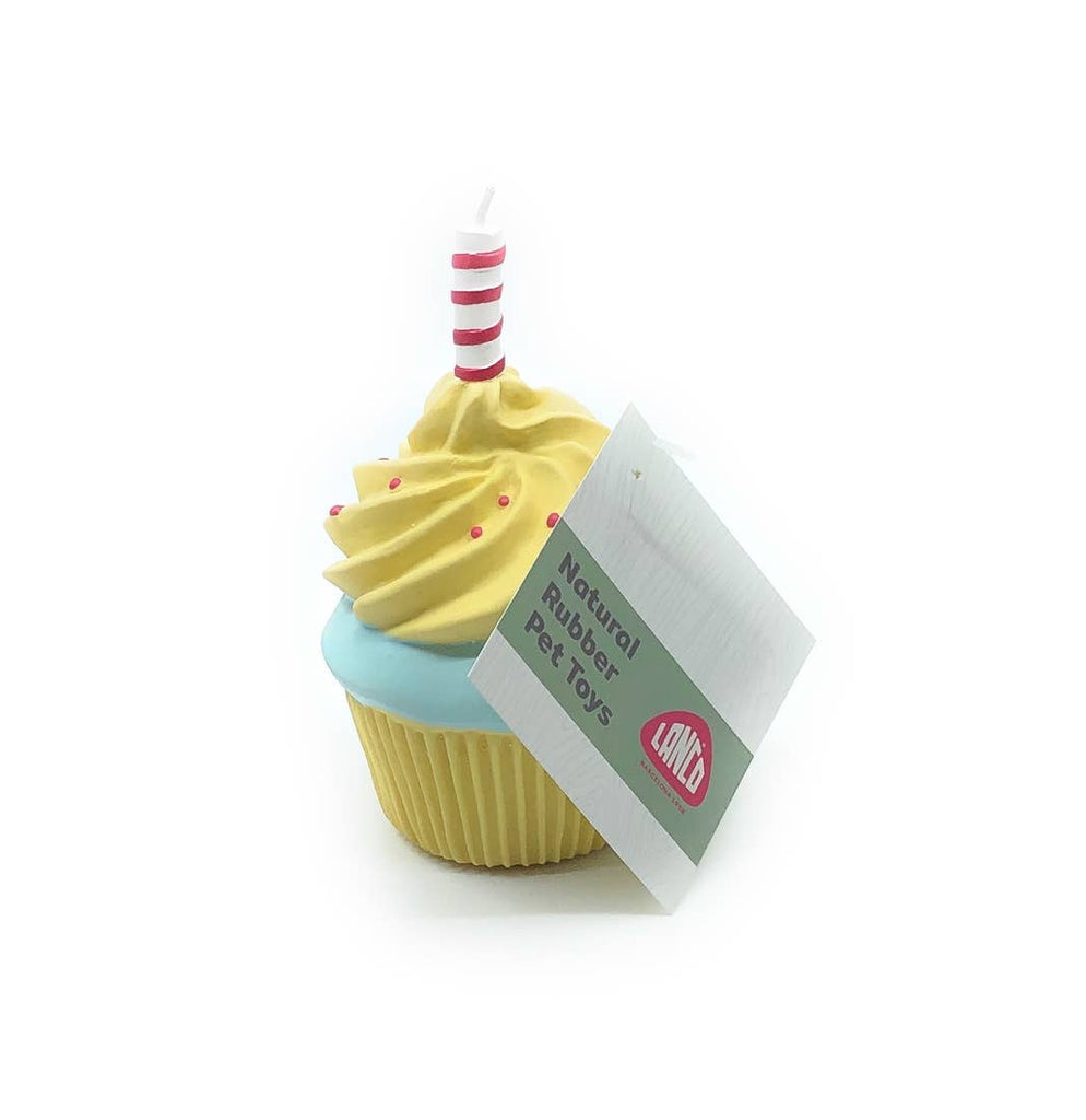 Birthday Cupcake Squeaker Dog Toy Play LANCO TOYS   