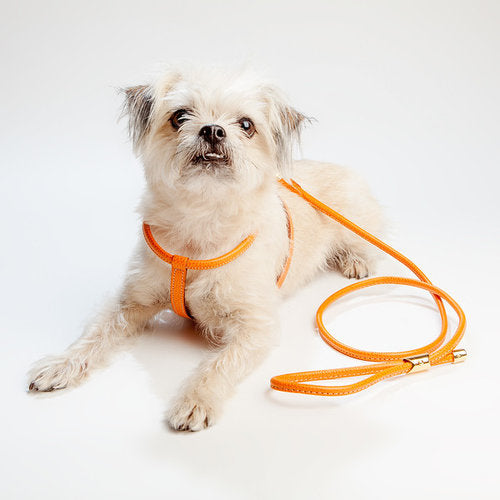 Italian Leather Dog Leash in Orange WALK LA CINOPELCA   