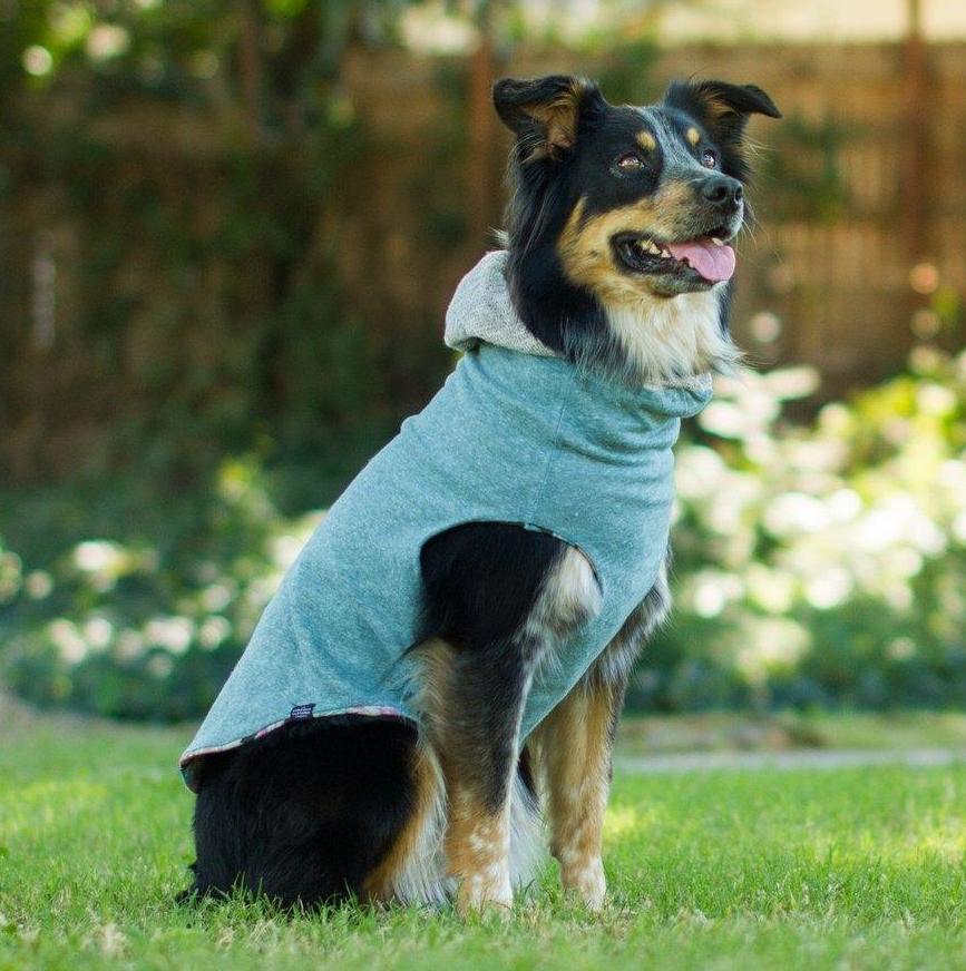 Long dog clothing clearance