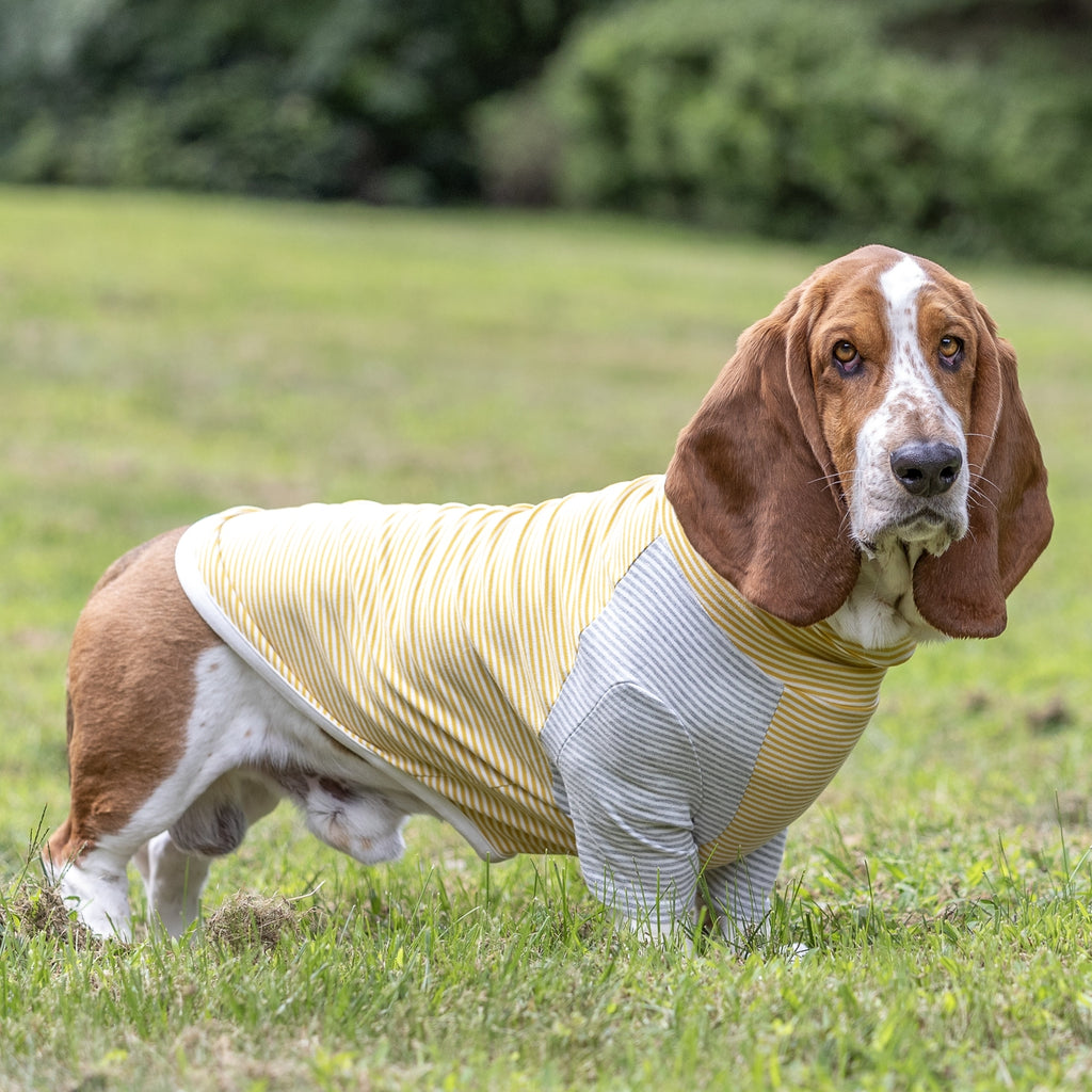 LONG DOG CLOTHING | The Early Bird Apparel LONG DOG CLOTHING   