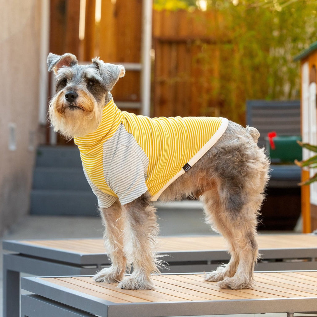 LONG DOG CLOTHING | The Early Bird Apparel LONG DOG CLOTHING   