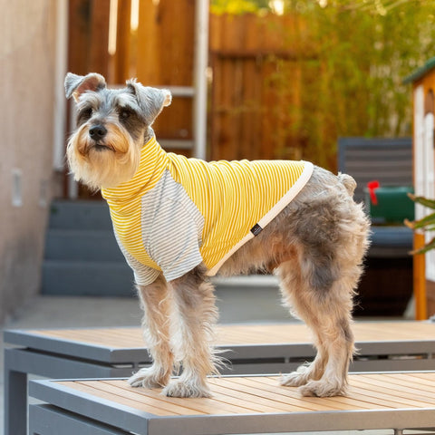 LONG DOG CLOTHING The Early Bird