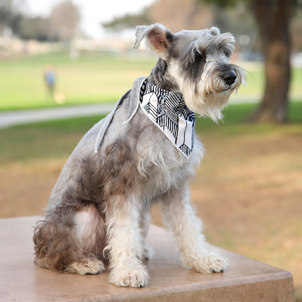 LONG DOG CLOTHING | The Fletcher Bandana Apparel LONG DOG CLOTHING   