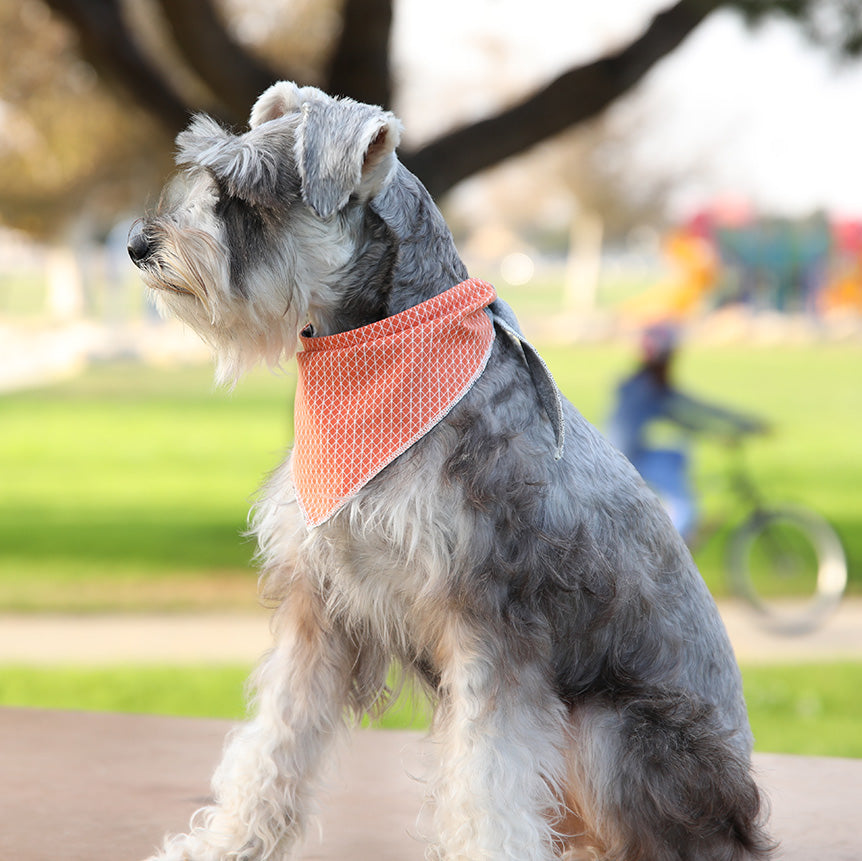 LONG DOG CLOTHING | The Fletcher Bandana Apparel LONG DOG CLOTHING   