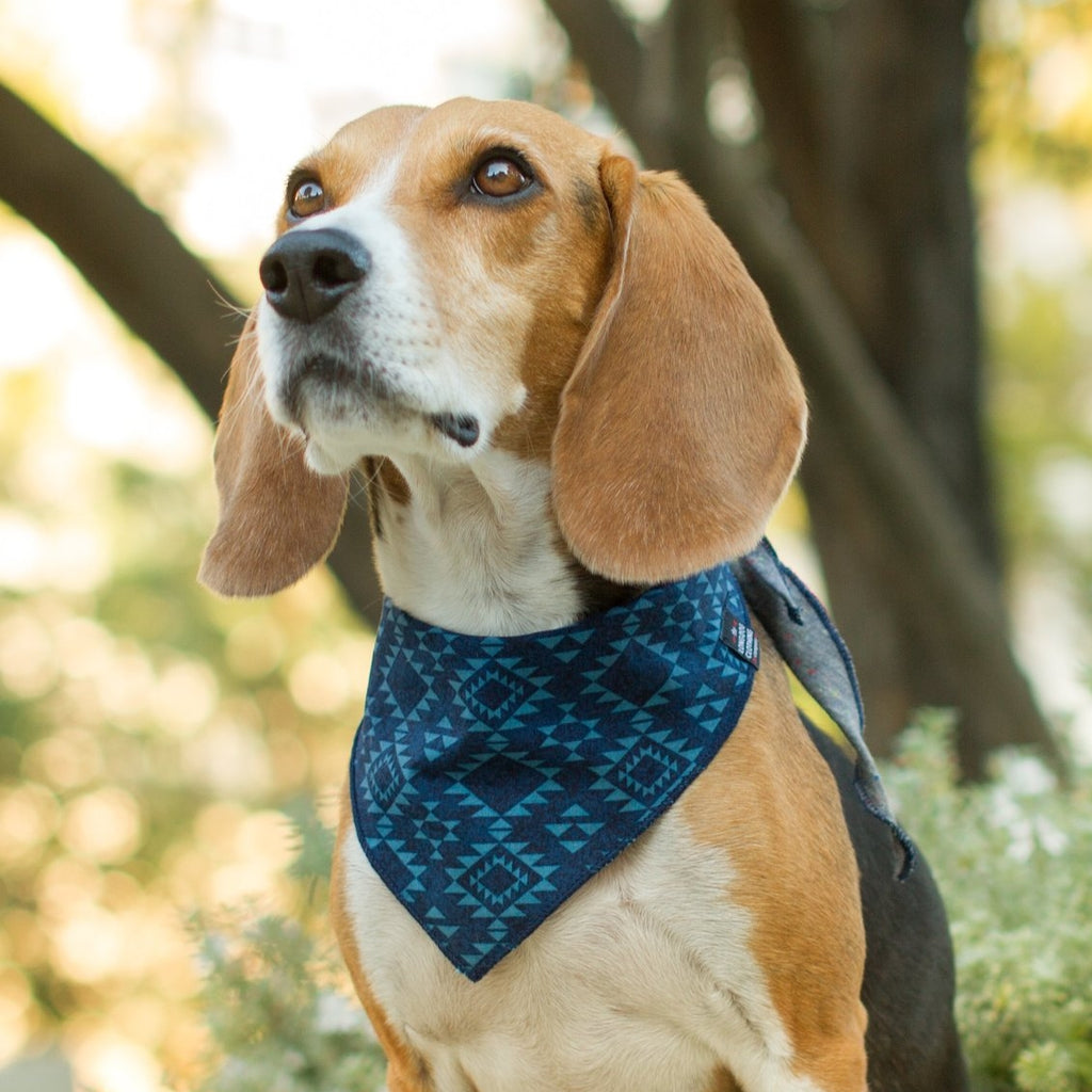 LONG DOG CLOTHING The Mayan Bandana DOG CO