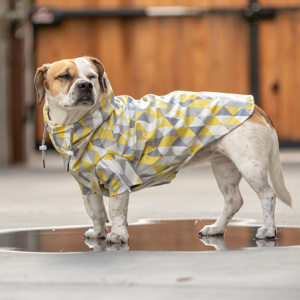 LONG DOG CLOTHING The Metric Raincoat