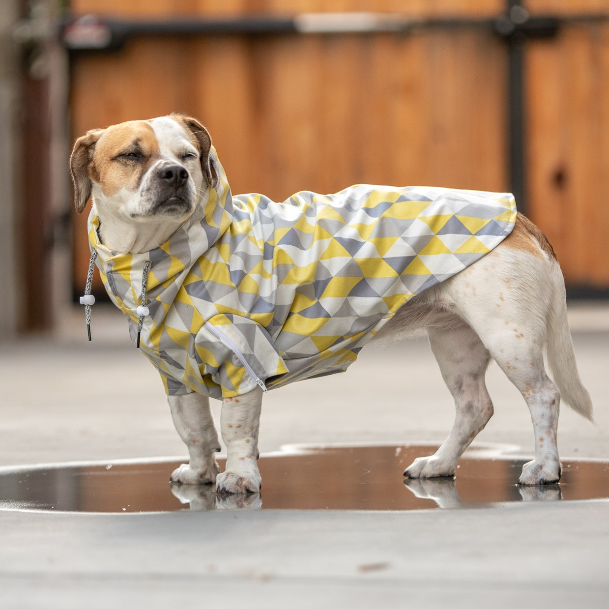 LONG DOG CLOTHING