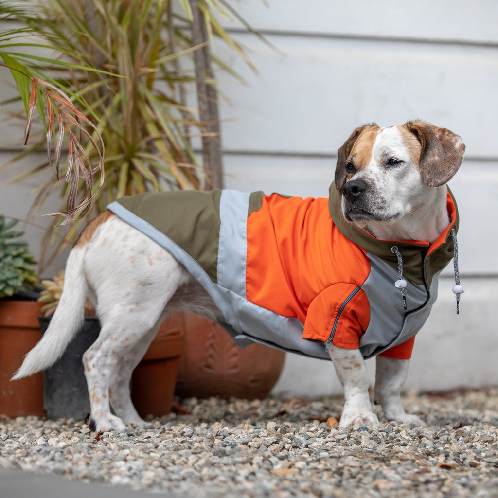 LONG DOG CLOTHING | The Ranger Windbreaker Apparel LONG DOG CLOTHING   