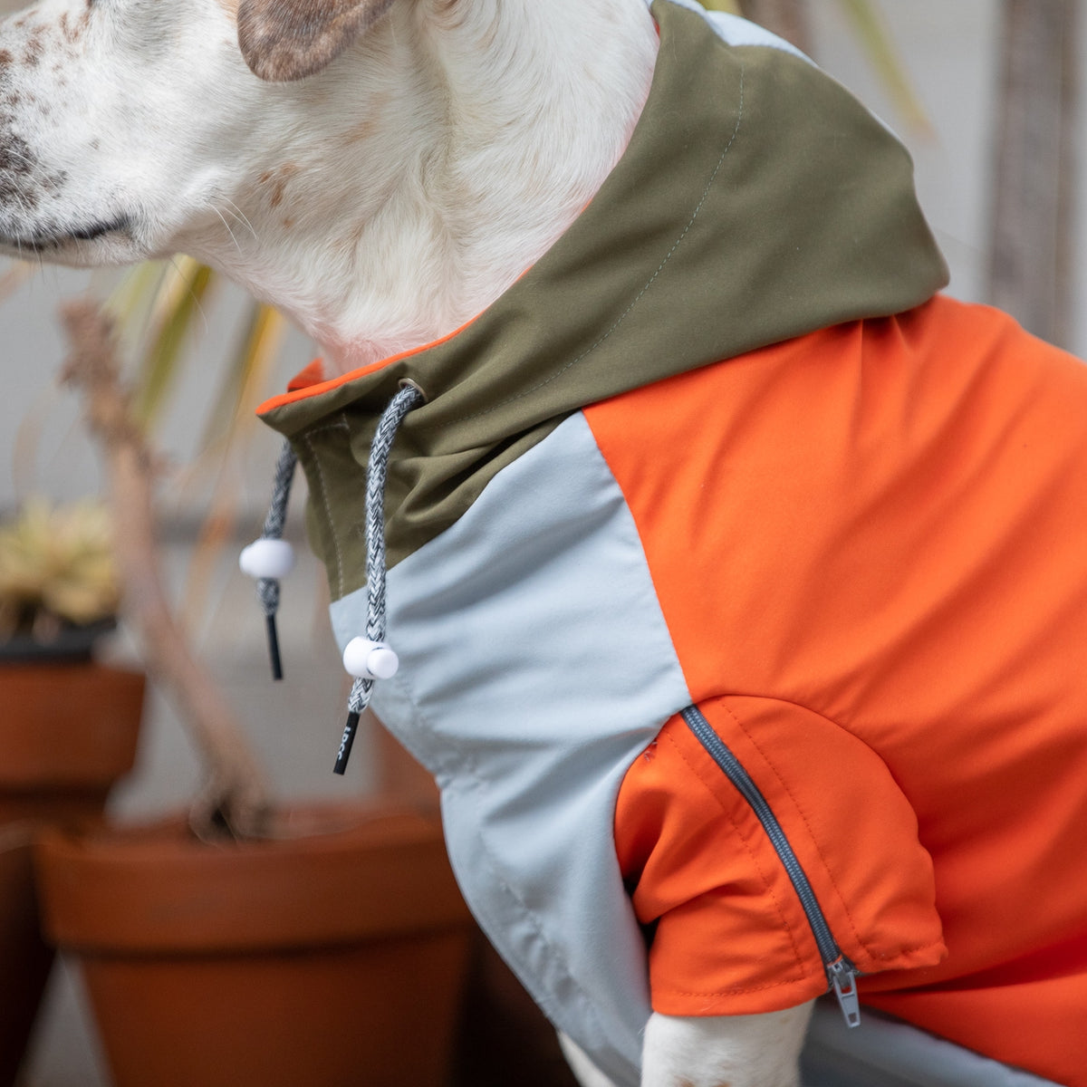 LONG DOG CLOTHING | The Ranger Windbreaker | DOG & CO.