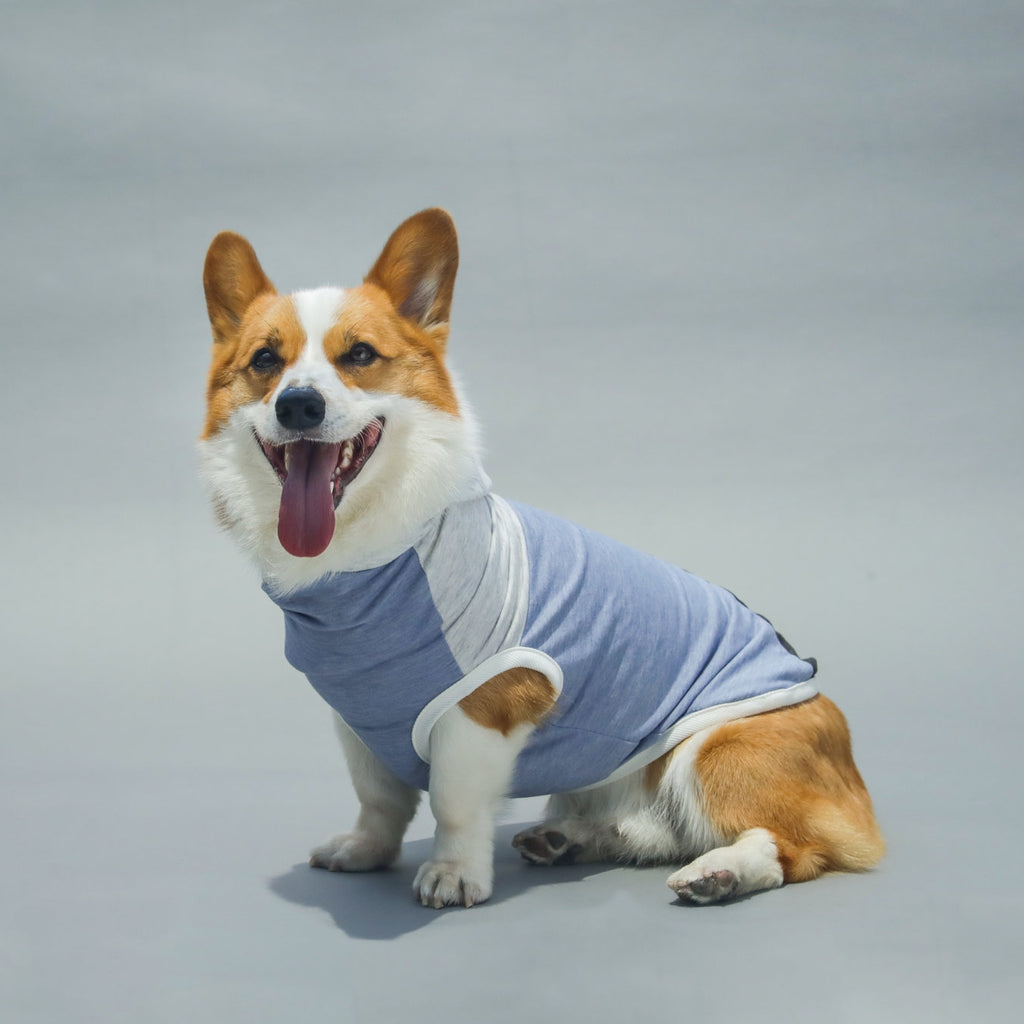 LONG DOG CLOTHING | The Skater Apparel LONG DOG CLOTHING   