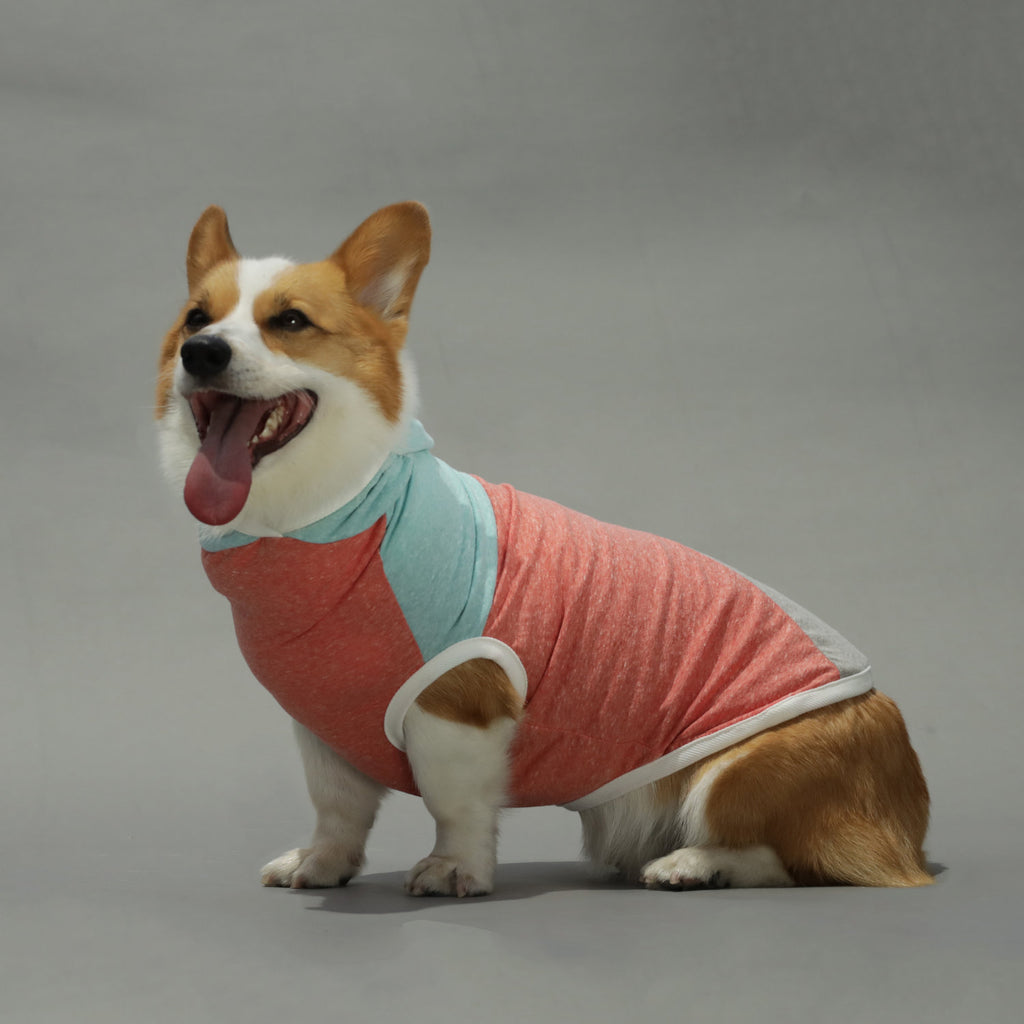 LONG DOG CLOTHING | The Surfer Apparel LONG DOG CLOTHING   