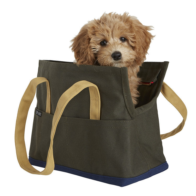 Canvas Pet Tote in Olive & Navy (Made in the USA) (Direct Ship) Carry LOVE THY BEAST   
