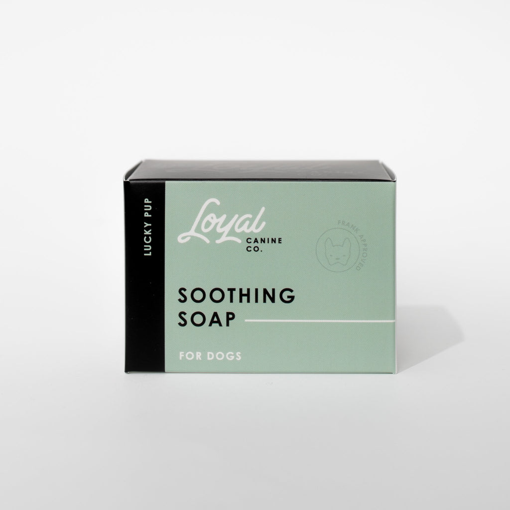 LOYAL CANINE | Lucky Pup Dog Soap clean LOYAL CANINE   