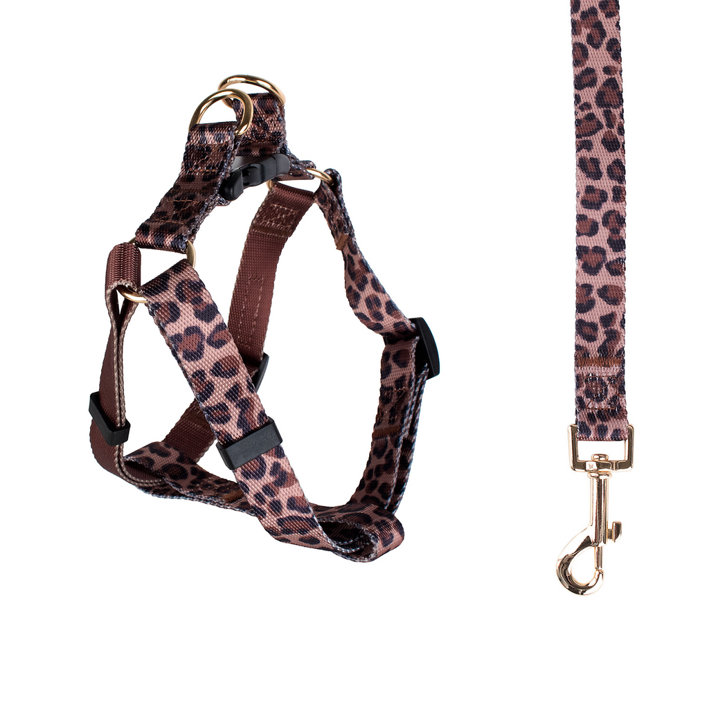 Leopard Harness & Leash Set (Drop-Ship) Drop Ship BOULEVARD   