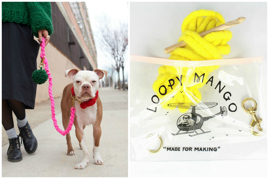 LOOPY MANGO | DIY Dog Leash Kit in Emerald Leash LOOPY MANGO   