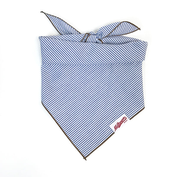 M.N. DAVIS & SON | Dog Bandana in Navy Pinstripe Accessories M. N. Davis & Son   