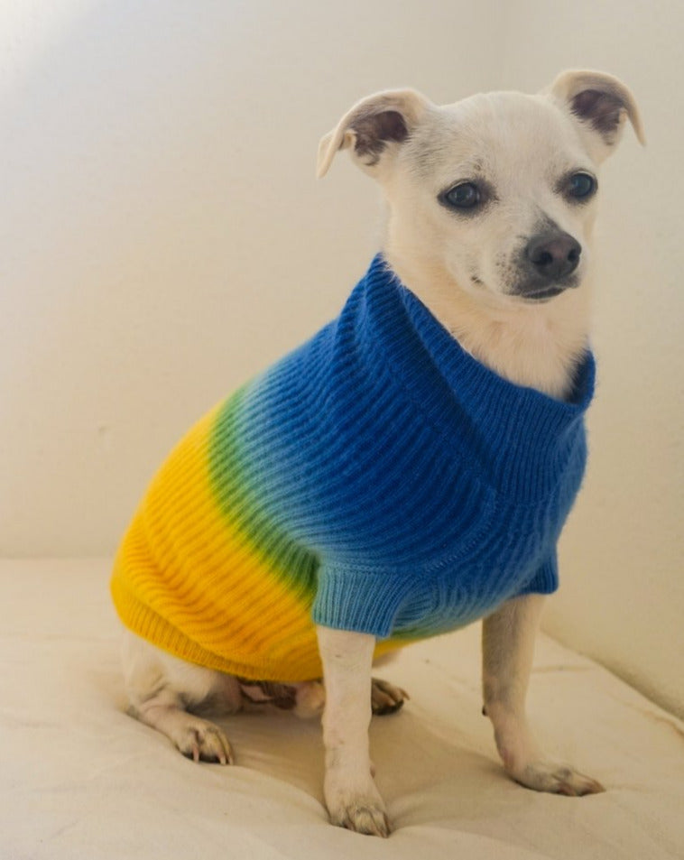 Tie-Dye Cashmere Blend Sweater in Blueberry & Pineapple << FINAL SALE >> Wear RUBY RUFUS   