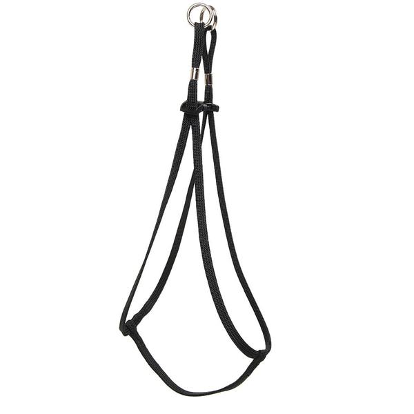 Tiny Dog Step-In Harness + Lead in Black WALK MENDOTA   