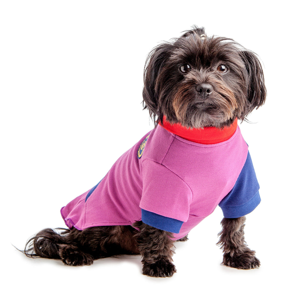 BEST FURRY FRIENDS | Polo Dress in Purple and Red Apparel BEST FURRY FRIENDS   