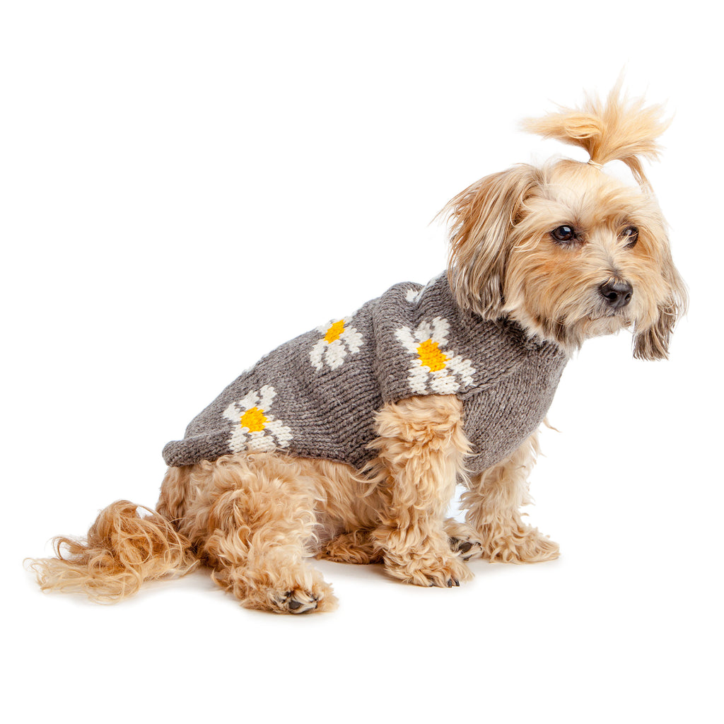 Daisy Wool Knit Dog Sweater << FINAL SALE >> Wear CHILLY DOG   