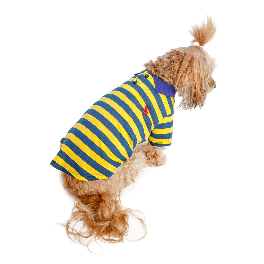 BEST FURRY FRIENDS | Striped Polo in Yellow and Blue Apparel BEST FURRY FRIENDS   