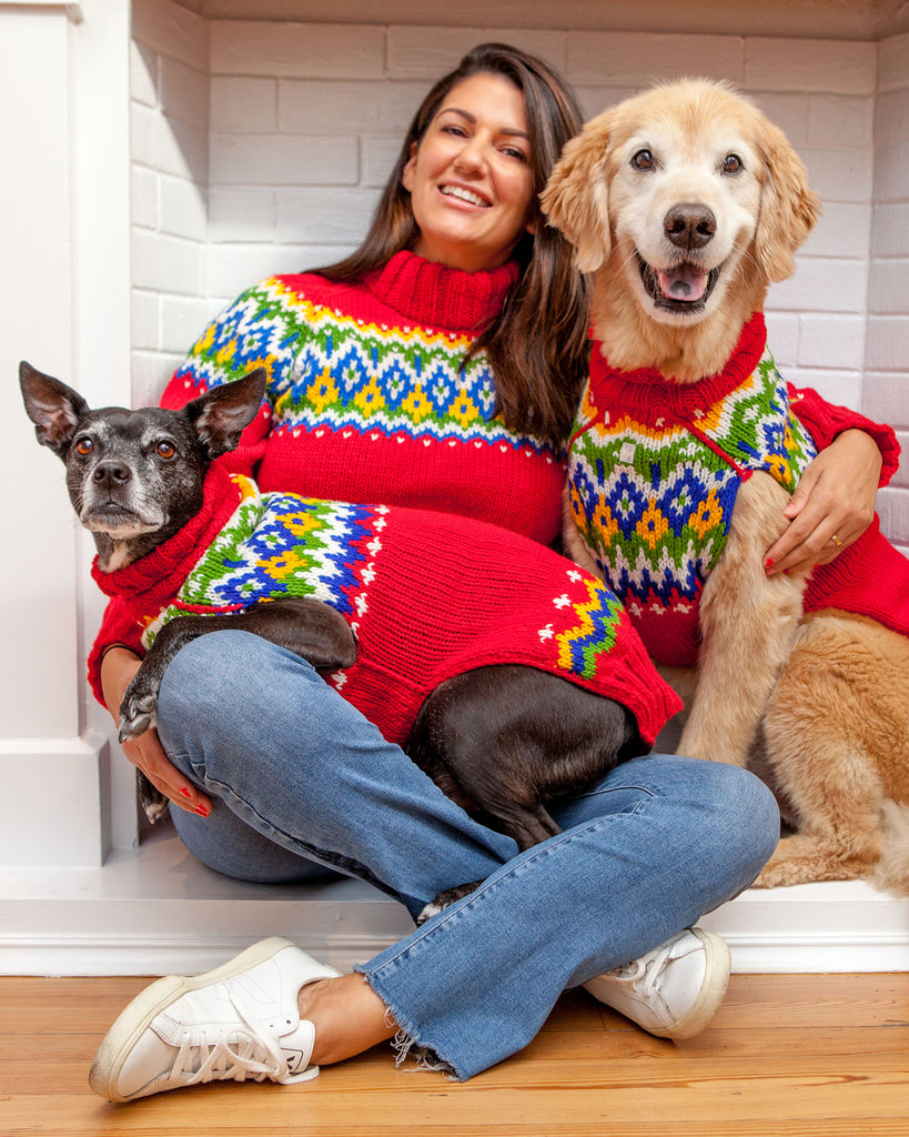 Festive Fairisle Dog Sweater << CLEARANCE >> Wear CHILLY DOG   