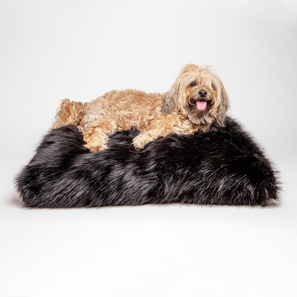 HELLO DOGGIE | Arctic Bed in Onyx Bed HELLO DOGGIE   