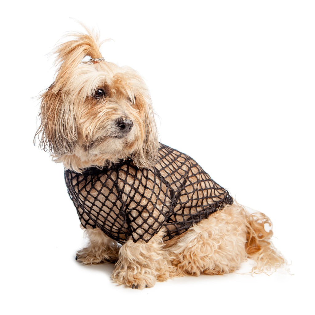 EYE OF DOG | Meshn Around Top in Black Apparel EYE OF DOG   