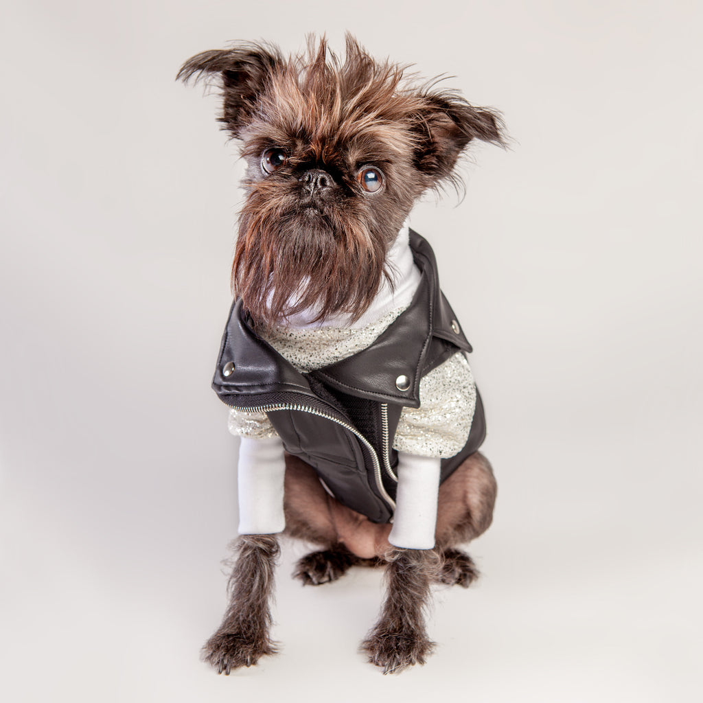 Vegan Leather Moto Vest for Dogs Wear EYE OF DOG   