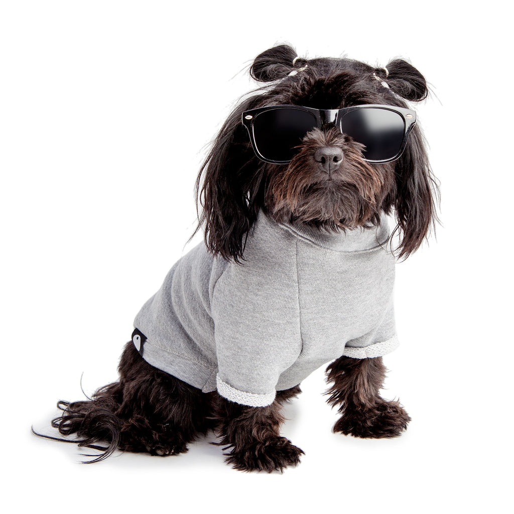 DOG & CO. | Four Legged Feminist Crewneck Sweatshirt Apparel DOG & CO. COLLECTION   