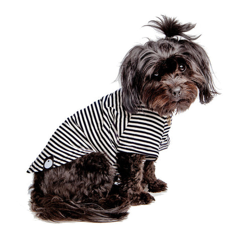DOG & CO. | Perfect T in Black & White Stripe | DOG & CO.
