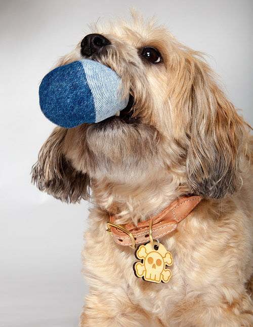 SMILING FROG PETS | Recycled Denim Ball Toys Toys SMILING FROG PETS   