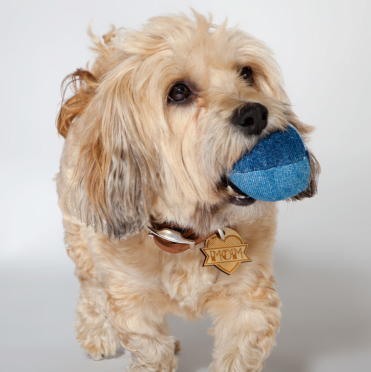 SMILING FROG PETS | Recycled Denim Ball Toys Toys SMILING FROG PETS   