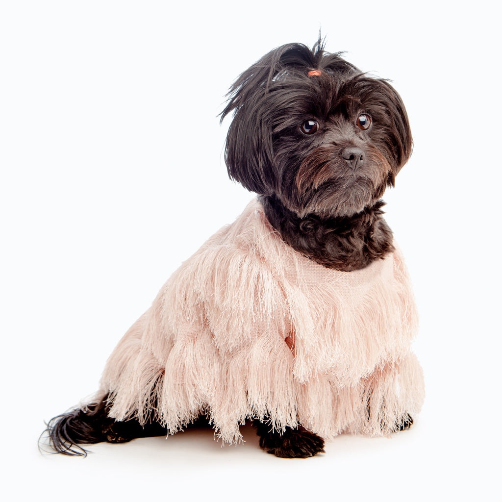 DUKE & DUTCHESS | Fringe Coat in Blush Apparel DUKE & DUTCHESS   