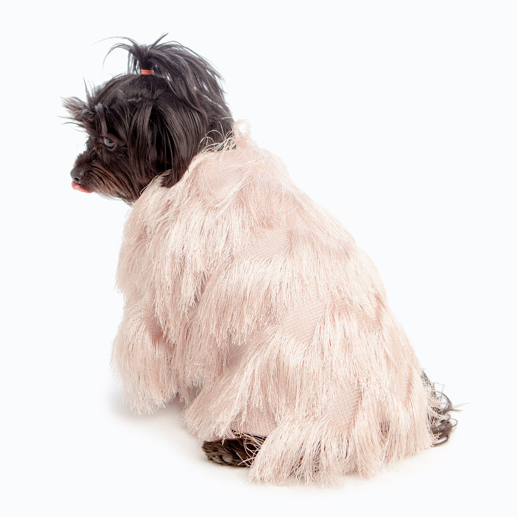 DUKE & DUTCHESS | Fringe Coat in Blush Apparel DUKE & DUTCHESS   
