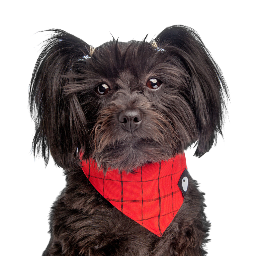 DOG & CO. | Check Bandana in Red Accessories DOG & CO. COLLECTION   