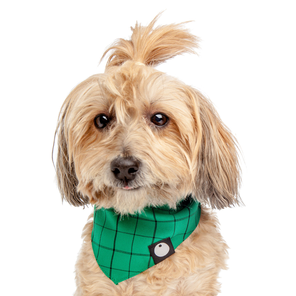 Check Bandana in Green Wear DOG & CO. COLLECTION   