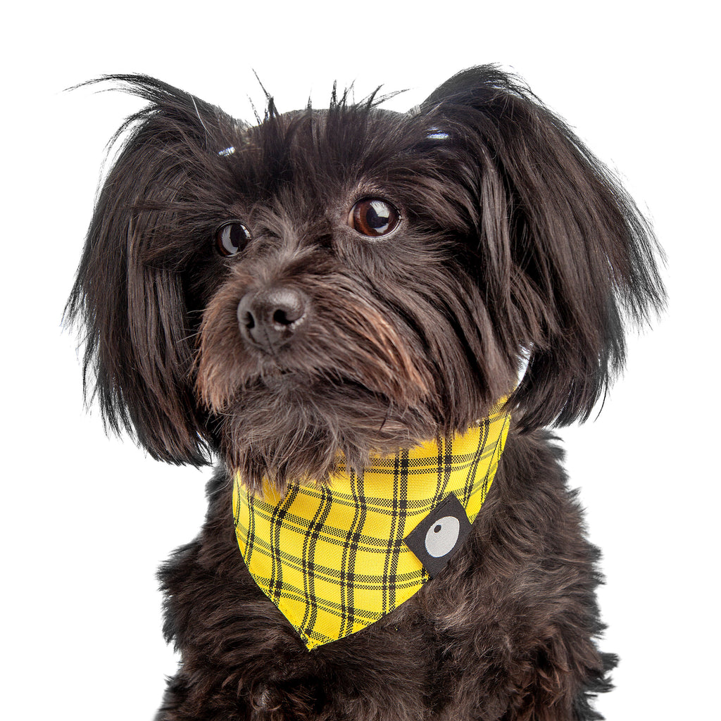DOG & CO. | Check Bandana in Yellow Accessories DOG & CO. COLLECTION   