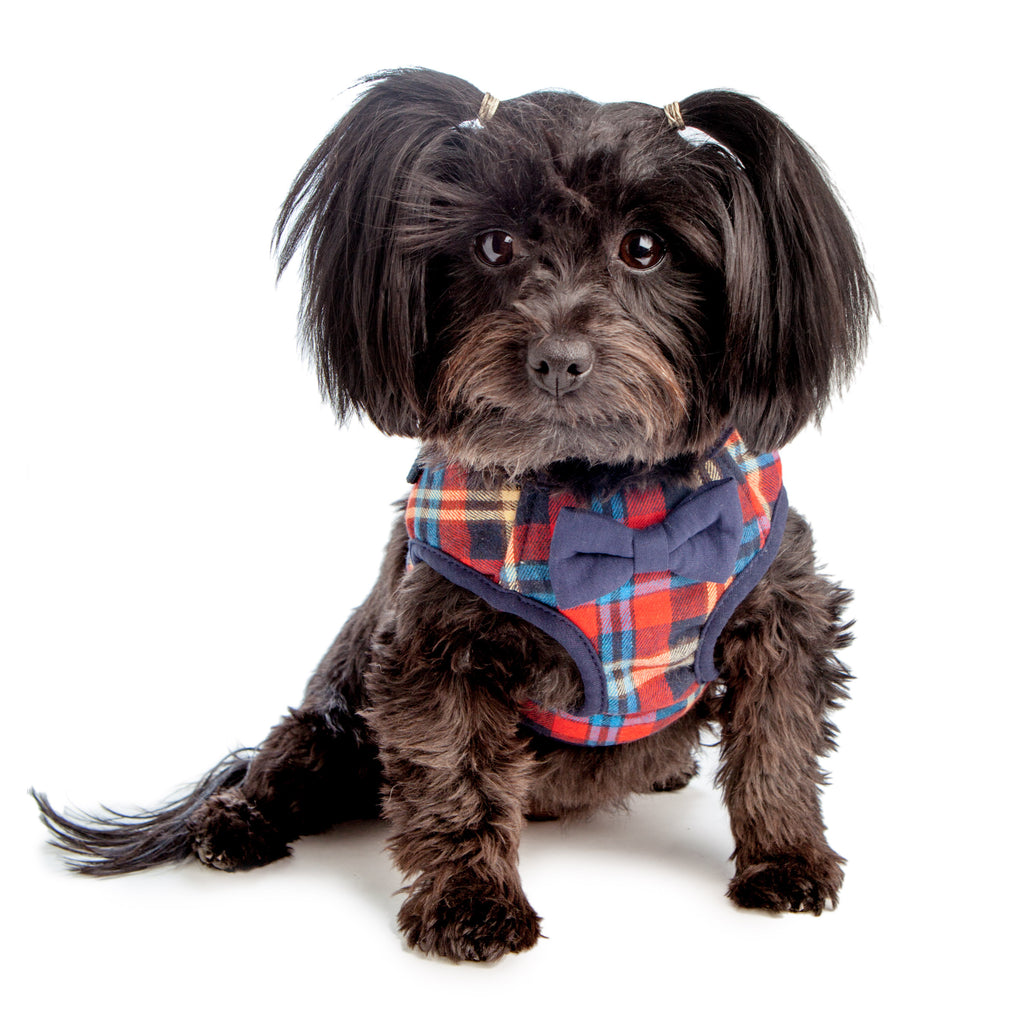 CROCI | British Plaid Harness Harness CROCI   