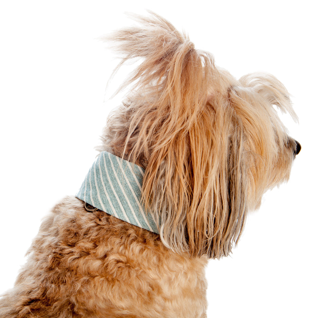 VELVET HIPPO | Kanoa Band in Chambray Stripe Accessories VELVET HIPPO   
