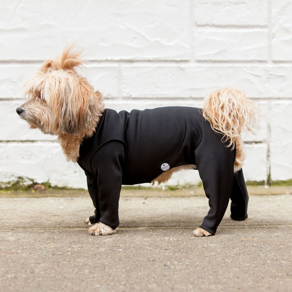 DOG & CO. Stretch Onesie in Water Resistant Black (FINAL SALE) Wear GOLD PAW   