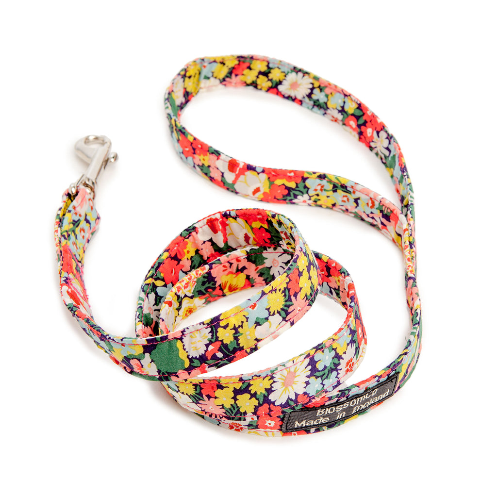 Liberty Print Thorpe Dog Leash WALK BLOSSOM CO.   
