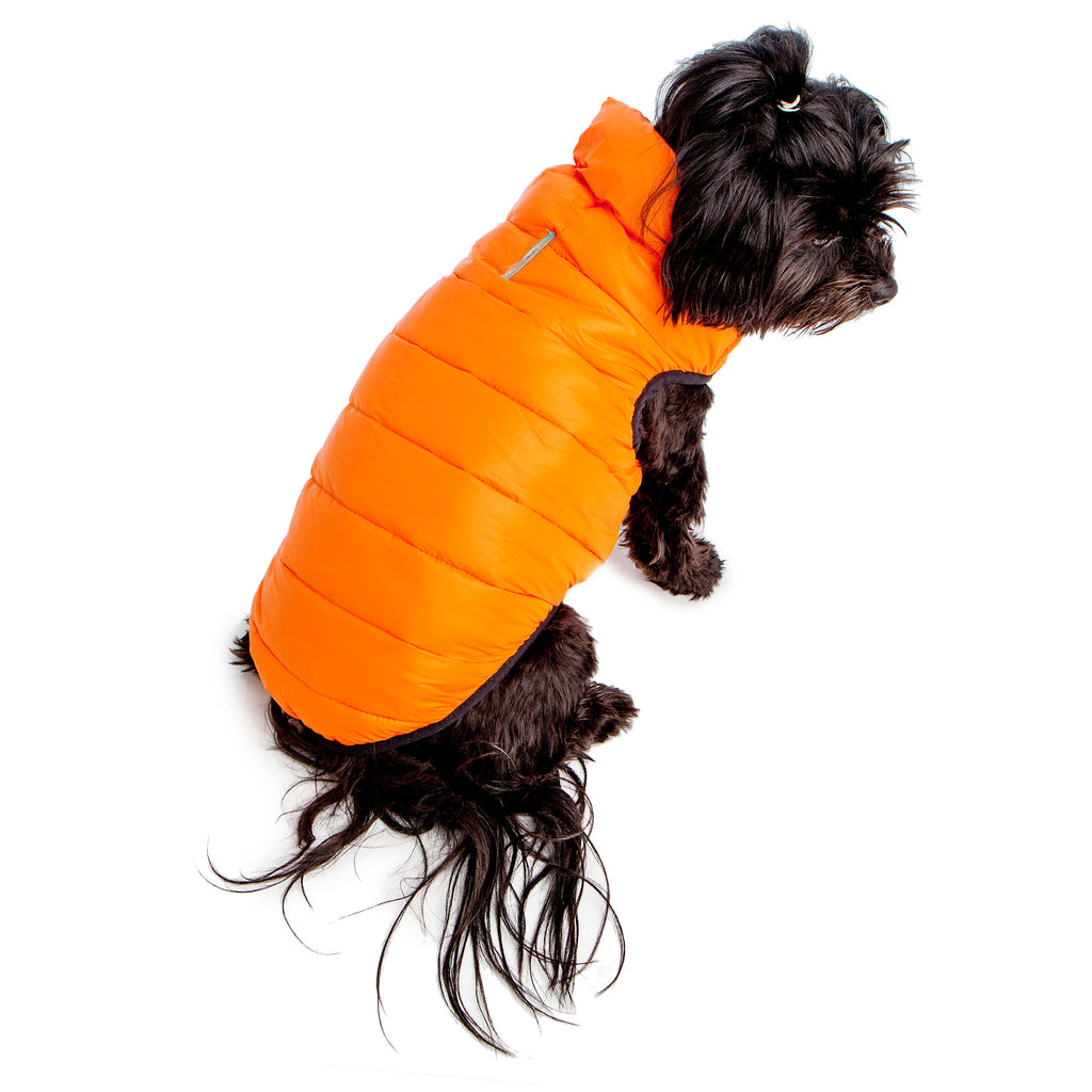 COLLAR BRAND | Reversible AiryVest Lumi in Tangerine + Glow-in-the-Dark Mint (with Harness Hole) Coats & Jackets COLLAR BRAND   