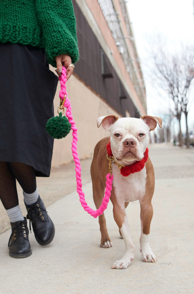 LOOPY MANGO | DIY PomPom for Leash Kit in Hot Pink Accessories LOOPY MANGO   