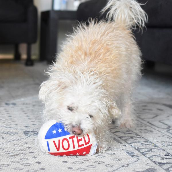 I Voted Dog Toy Toys MODERN BEAST   