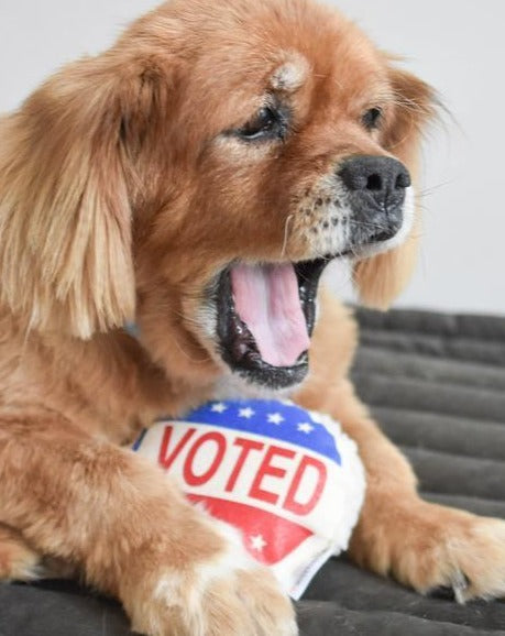 I Voted Dog Toy Toys MODERN BEAST   